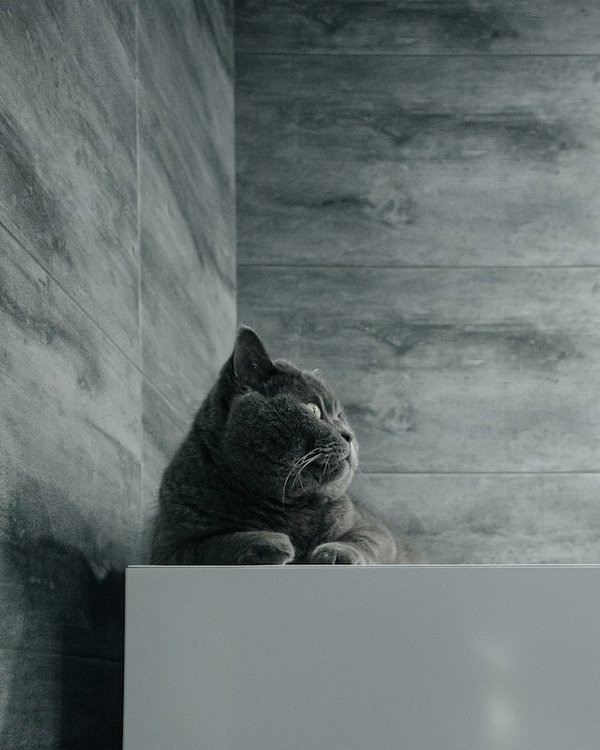 Comment poser du carrelage mural en grès cérame émaillé ?