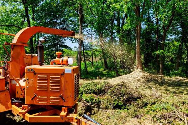 Comment choisir la machine forestière idéale pour assurer la réussite de votre projet forestier avec ONE-TP ?