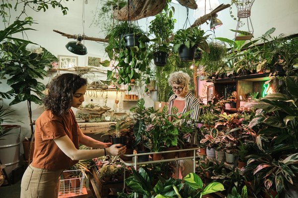 Transformez votre jardin en oasis urbaine : conseils et astuces