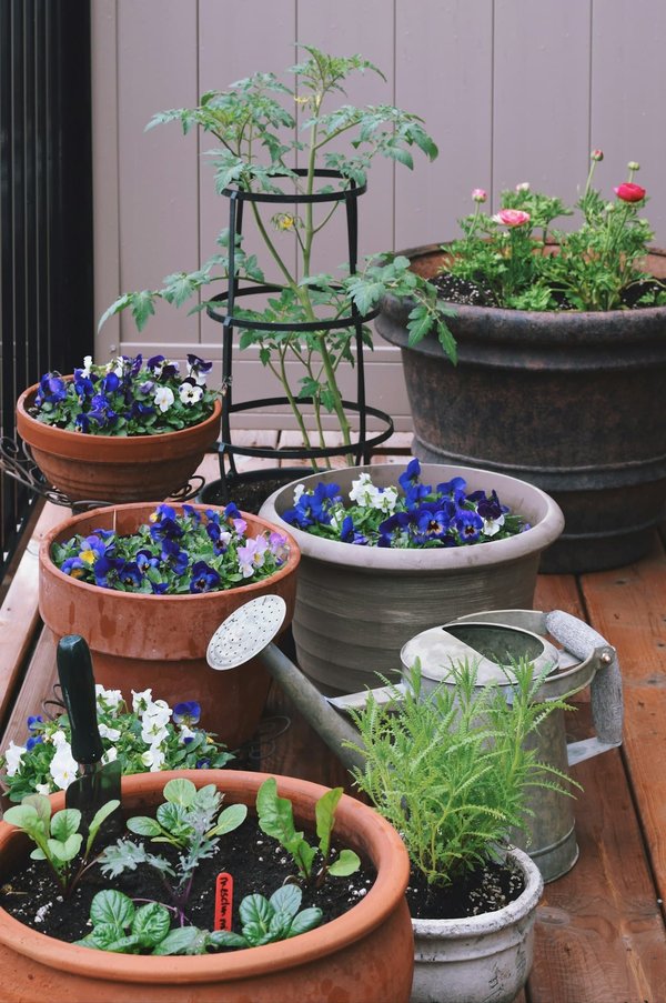 Aménager le jardin pour un espace extérieur agréable