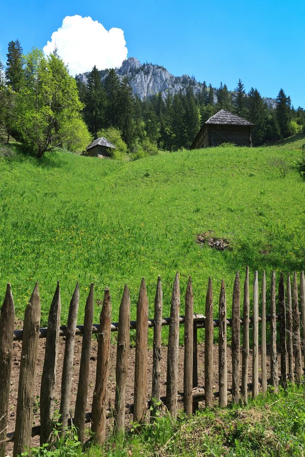 Clôture en chataignier : élégance et durabilité